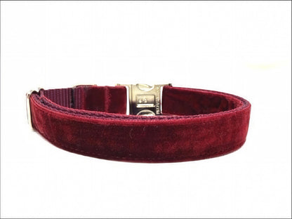 Fall, Burgundy, Velvet, Custom, Dog Collar, Girl, Boy, Personalized, Engraved, Cute, Designer, Puppy, Cat, Pet, Small, Medium, Large, Buckle