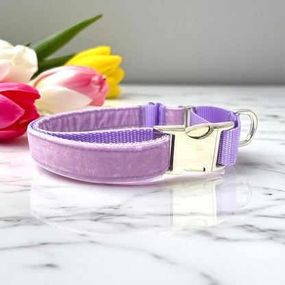 Fall, Lavender, Velvet, Custom, Buckle Martingale Dog Collar, Girl, Boy, Gold, Pink, Personalize, Engraved, Cute, Designer, Puppy, Greyhound