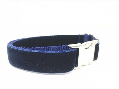 Fall, Navy Blue, Custom, Dog Collar, Girl, Boy, Personalized, Engraved, Cute, Designer, Puppy, Cat, Pet, Small, Medium, Large, Buckle, Male