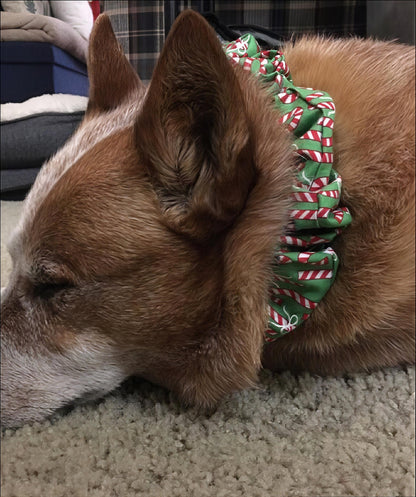 Fall, Orange, Black, Dog Collar Scrunchie Cover, Black + White Stripe, Orange Halloween, Collar Protectors