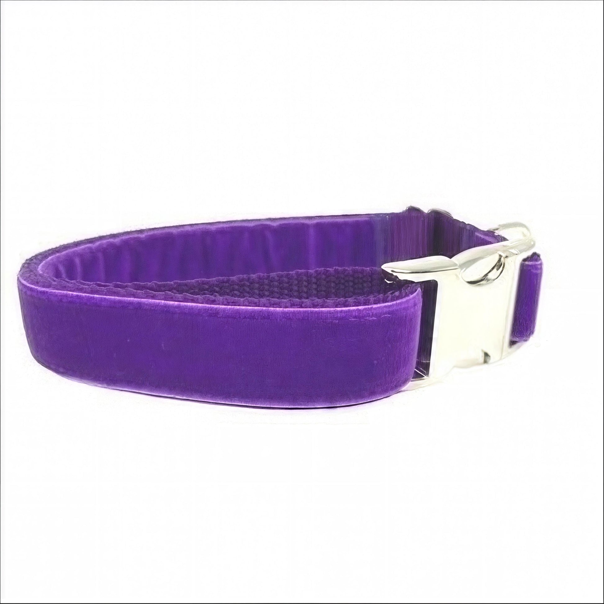Fall, Purple, Custom, Dog Collar, Girl, Personalized, Engraved, Cute, Designer, Puppy, Cat, Pet, Small, Medium, Large, Buckle