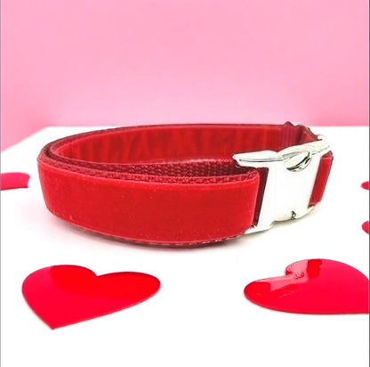 Fall, Red, Christmas, Custom, Dog Collar, Girl, Boy, Personalized, Engraved, Cute, Designer, Puppy, Cat, Pet, Small, Medium, Large, Buckle