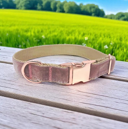 Fall, Rose Gold, Dog Collar, For Girls, Boys, Velvet, Gold, Winter, Fall, Personalize, Engrave, Custom, Mauve, Female, Small, M, L, XL,