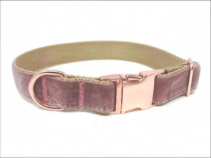 Fall, Rose Gold, Dog Collar, For Girls, Boys, Velvet, Gold, Winter, Fall, Personalize, Engrave, Custom, Mauve, Female, Small, M, L, XL,