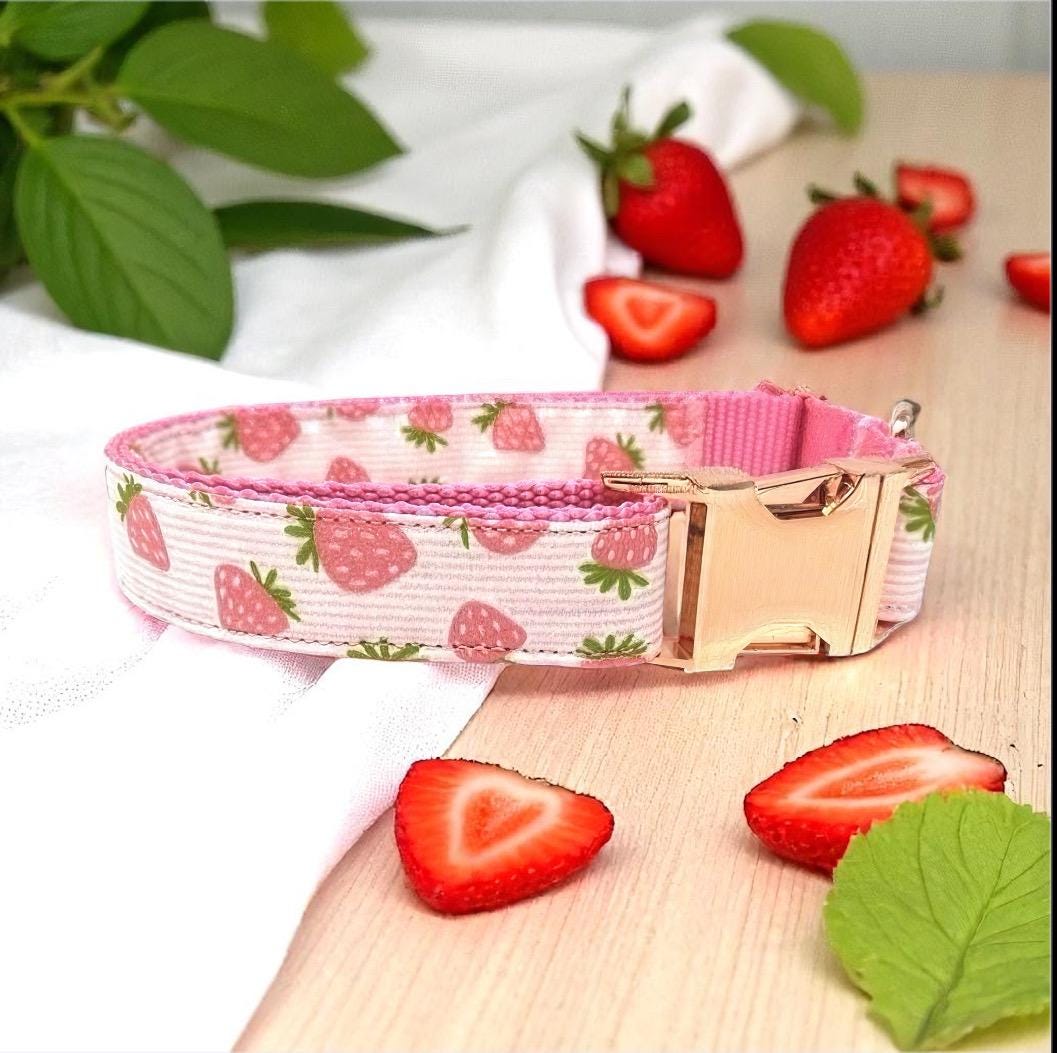 Girl Dog Collar, Pink, Strawberry, Rose Gold, Custom, Personalize, Engrave, Cute, Designer, Puppy, Cat, Pet, Small, Medium, Large, Fashion