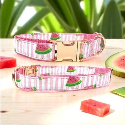 Girl Dog Collar, Summer, Fruit, Watermelon, Puppy Collar, Designer Dog Collar, Personalized Dog Collar, Engraved Dog Collar, Custom Collar