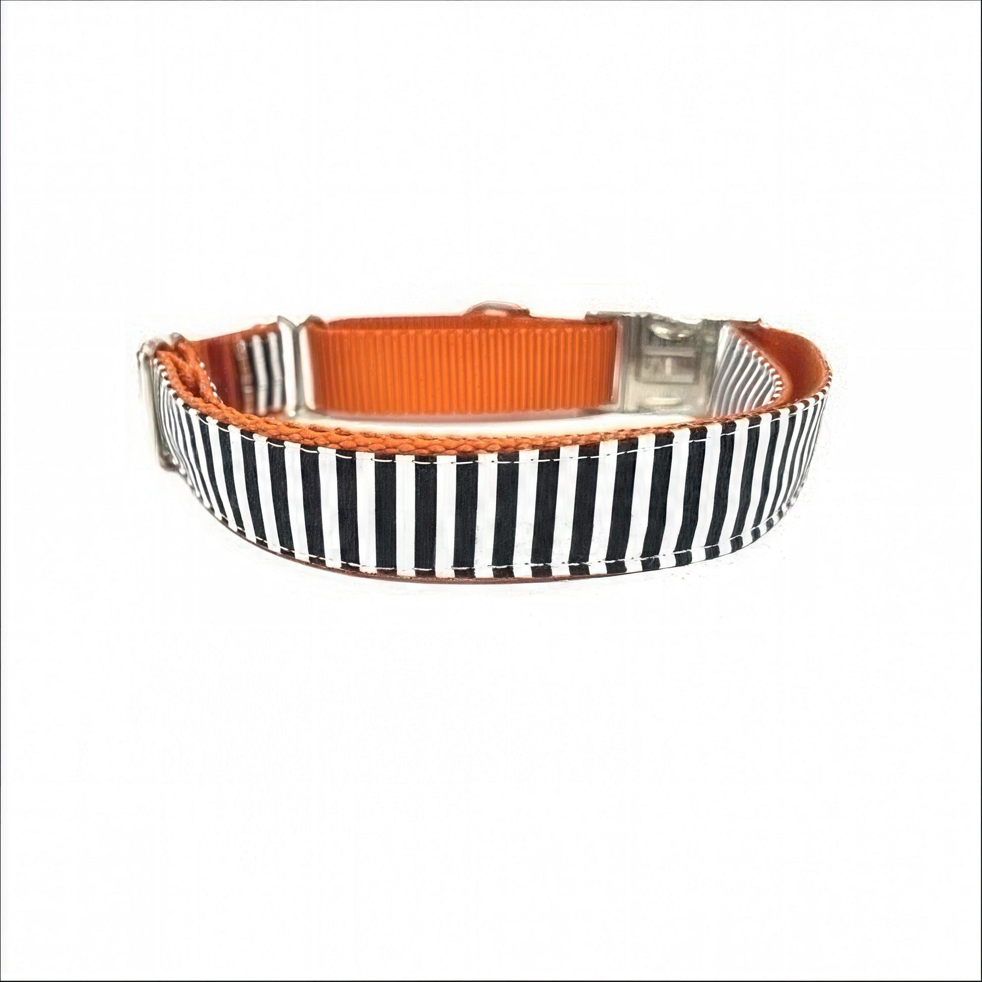 Halloween Buckle Martingale Collar, Girl Dog Collar, Fall, Orange, Black, Custom, Puppy Collar, Engraved Designer Dog Collar, Personalized