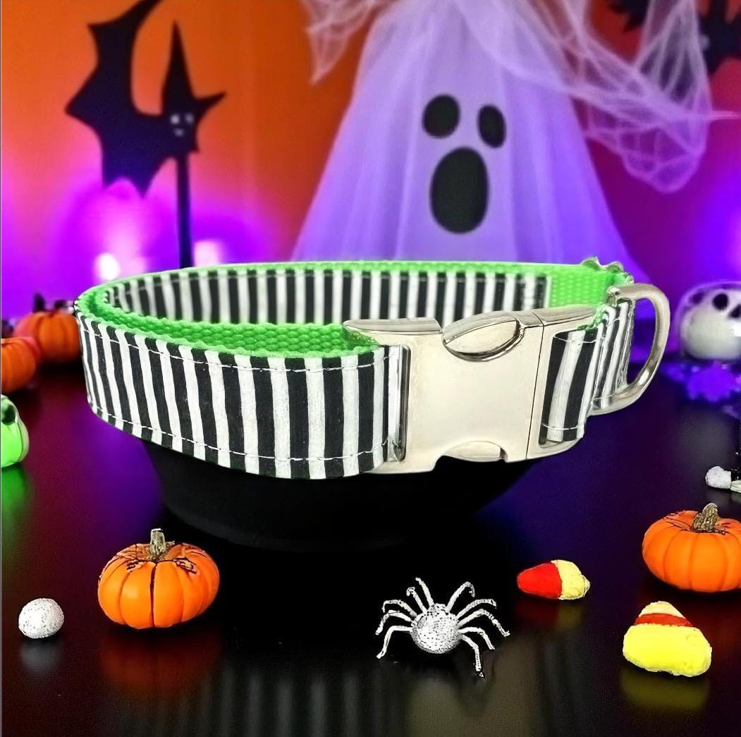 Halloween, Beetlejuice, Black, White, Neon Green, Dog Collar, Girl, Boy, Personalized, Engraved, Custom, Cute, Seasonal, Designer Dog Collar