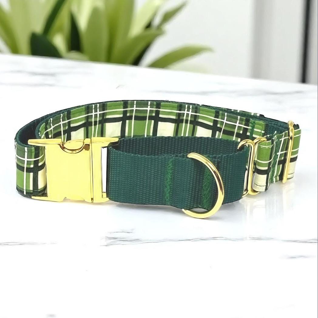 Martingale Collar W/Buckle, Green, Dog Collar Boy, Plaid, Custom Collar, Engraved, Personalize, Designer, Puppy Collar, 1.5" Wide Option