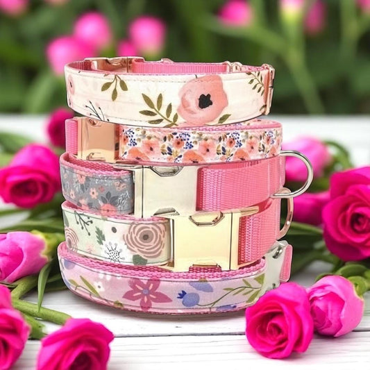 Pink Girl Buckle Martingale Dog Collar, Green, Greyhound Collar, Custom, Puppy, Floral, Designer, Personalize, Whippet, Female, Large