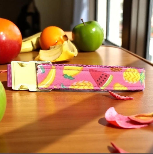 Martingale Dog Collar, Buckle, Yellow, Pink, Girl, Summer, Watermelon, Custom, Puppy Collar, Engraved, Designer Collar, Pineapple, Cute