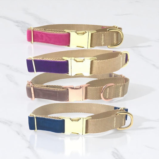 Pink Velvet, Custom, Buckle Martingale Dog Collar, Girl, Boy, Gold, Personalized, Engraved, Cute, Designer, Puppy, Greyhound, Whippet, fall