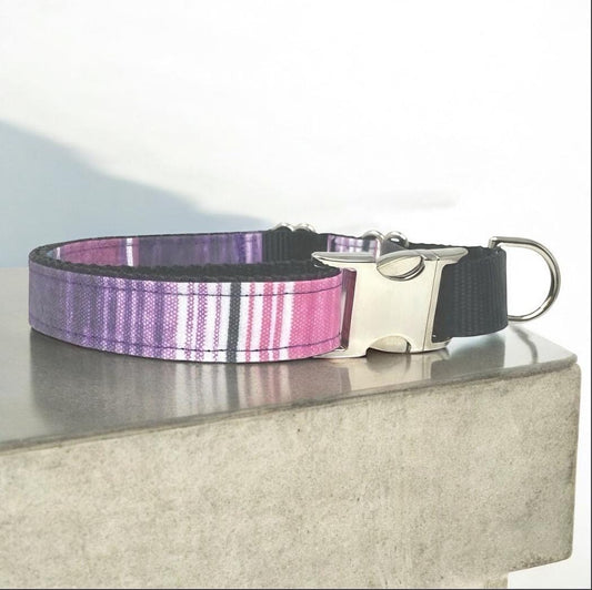 Martingale Dog Collar, Girl, Purple, Pink, Teal, Green, Blue, Cute, Serepe, Stripe, Puppy Collar, Designer, Custom, Engraved, Personalize