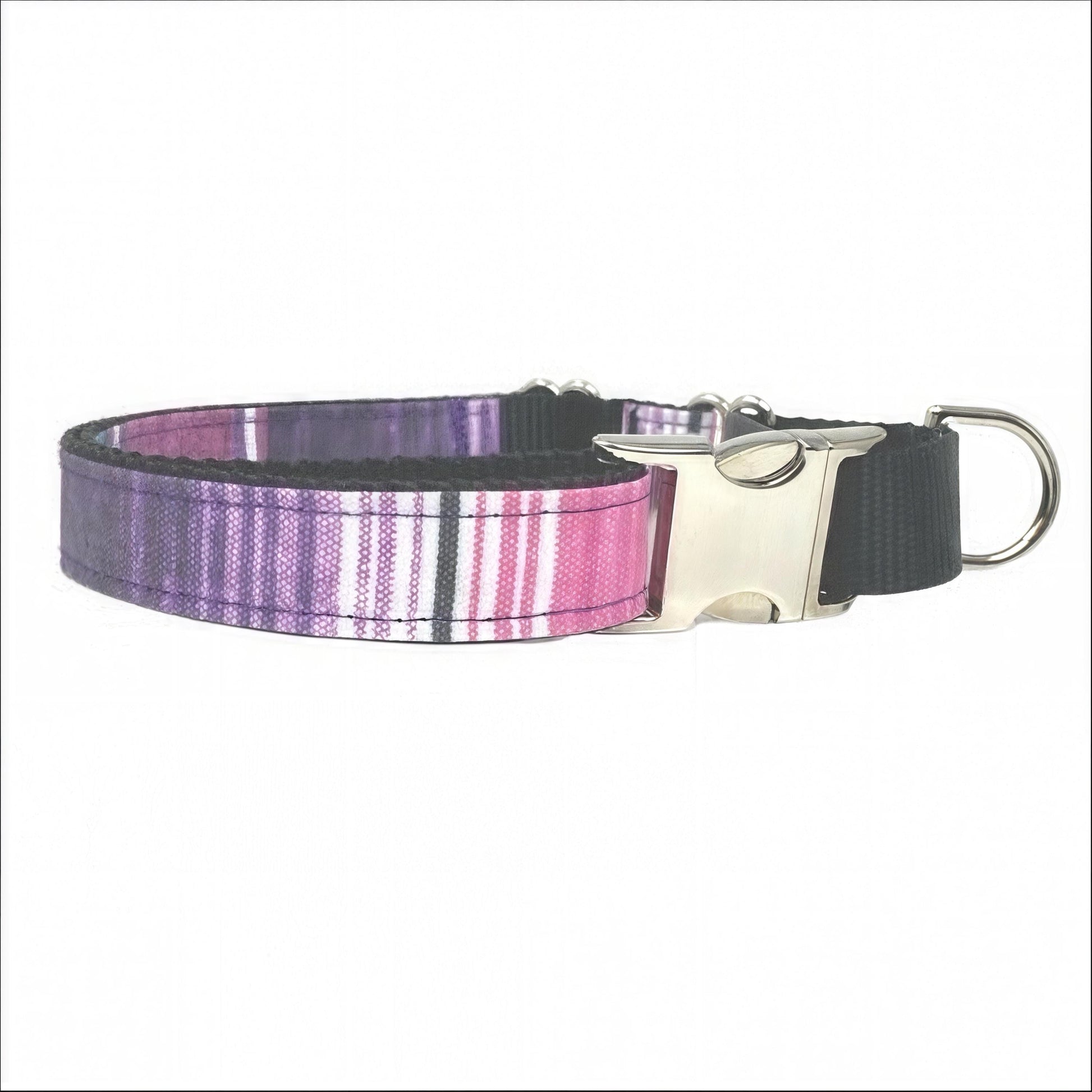 Martingale Dog Collar, Girl, Purple, Pink, Teal, Green, Blue, Cute, Serepe, Stripe, Puppy Collar, Designer, Custom, Engraved, Personalize