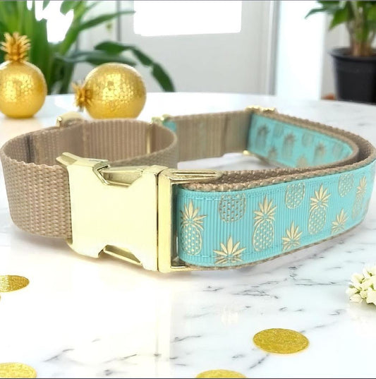Pineapple, Martingale Collar, Buckle, Dog Collar Girl, Boy, Puppy Collar, Personalized, Engraved, Custom, Designer, Cute Dog, Small, Large