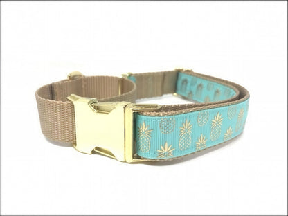 Pineapple, Martingale Collar, Buckle, Dog Collar Girl, Boy, Puppy Collar, Personalized, Engraved, Custom, Designer, Cute Dog, Small, Large