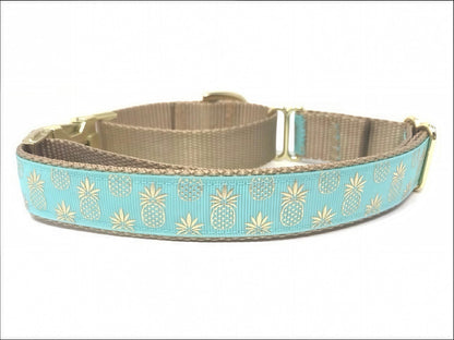 Pineapple, Martingale Collar, Buckle, Dog Collar Girl, Boy, Puppy Collar, Personalized, Engraved, Custom, Designer, Cute Dog, Small, Large