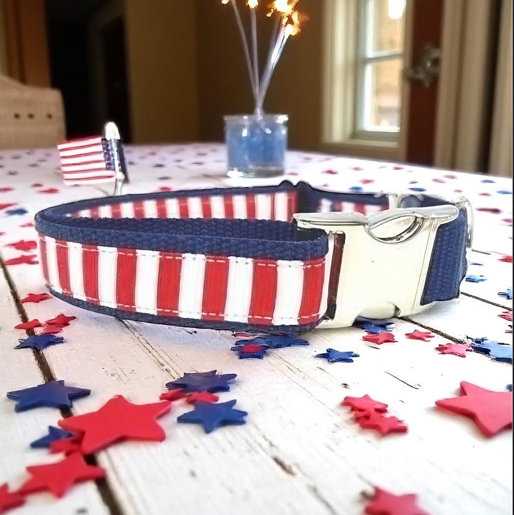 Nautical, 4th Of July, Buckle Martingale Dog Collar, Personalize, Engrave, Custom, Greyhound, Puppy Collar, Designer, Puppy, Whippet Collar