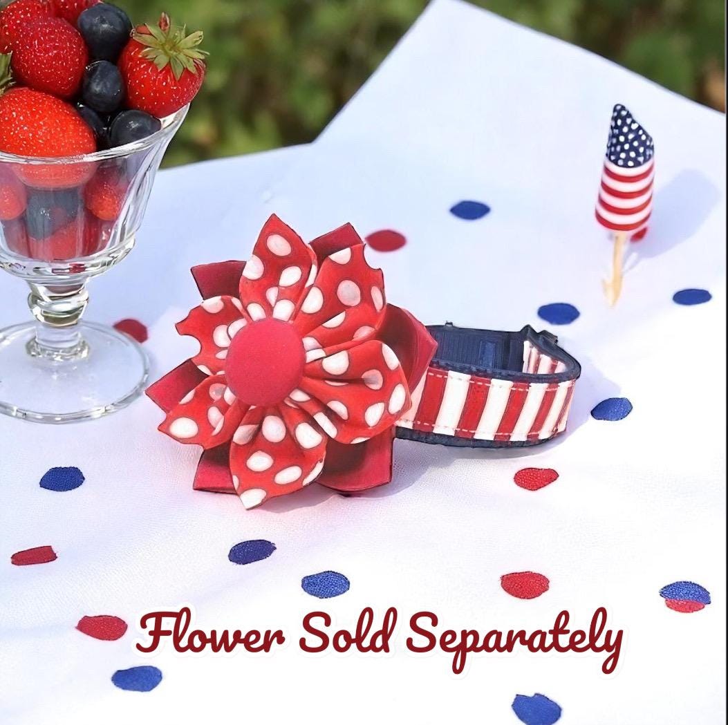 Nautical, 4th Of July, Buckle Martingale Dog Collar, Personalize, Engrave, Custom, Greyhound, Puppy Collar, Designer, Puppy, Whippet Collar