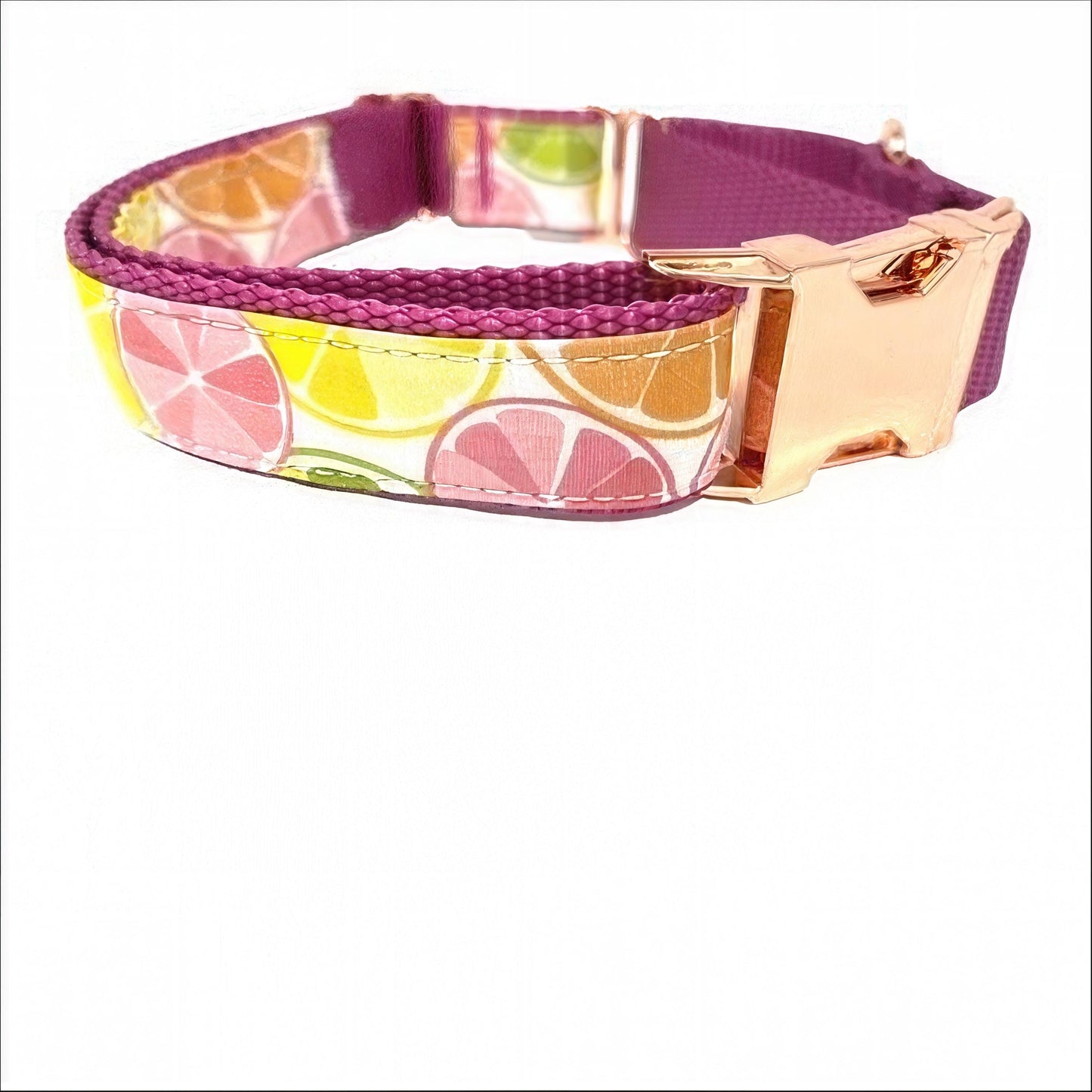 Martingale Dog Collar, W/ Buckle, Fruit, Lemon, Pink, Green, Orange, Dog Collar Girl, Personalized, Custom Dog Collar, Engraved, Puppy Colla