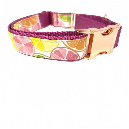 Martingale Dog Collar, W/ Buckle, Fruit, Lemon, Pink, Green, Orange, Dog Collar Girl, Personalized, Custom Dog Collar, Engraved, Puppy Colla