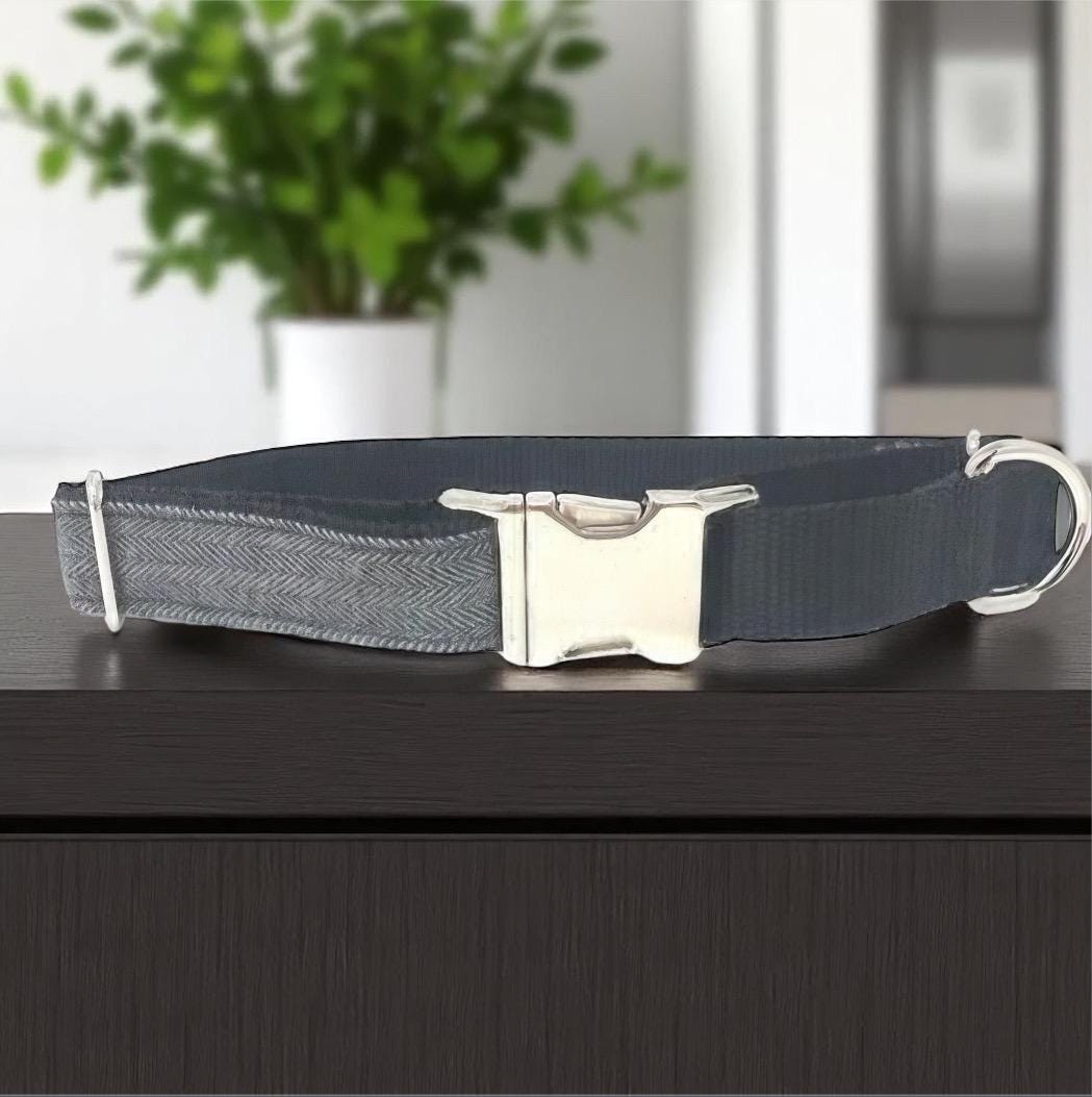 Martingale Dog Collar, With Buckle, Custom Dog Collar, Puppy Collar, Engraved Dog Collar, Designer Dog Collar, Cute, Large, Boy Dog Collar