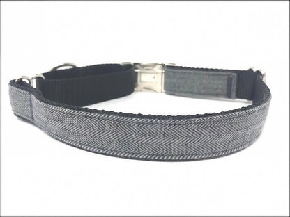 Martingale Dog Collar, With Buckle, Custom Dog Collar, Puppy Collar, Engraved Dog Collar, Designer Dog Collar, Cute, Large, Boy Dog Collar