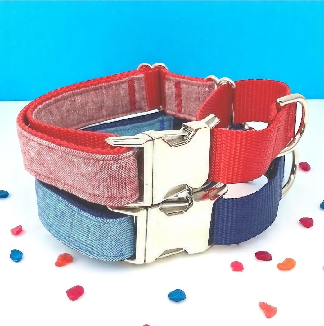 Martingale Dog Collar, With Metal Buckle, Denim Dog Collar, Red, Blue, Silver, Boys, Girls, Personalized, Engraved, Fashion Choker Collar