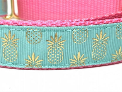 Martingale, Dog Collar, Girls, Boys, Cute Dog Collar, Gold, Pineapple, Buckle, Personalized, Engraved, Fancy, Designer, Pink, Custom Dog Col
