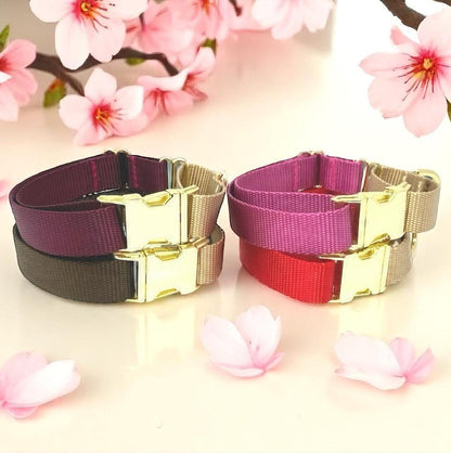 Martingale, Dog Collar, With Buckle, Red, Brown, Burgundy, Raspberry, Rose, Gold, For Girl, For Boy, Personalize, Engrave, Greyhound, Custom