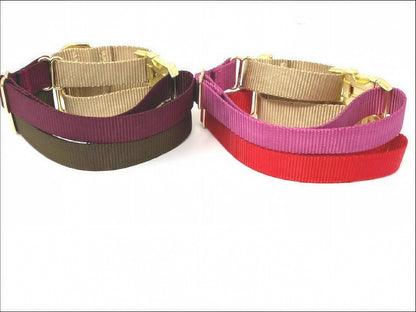 Martingale, Dog Collar, With Buckle, Red, Brown, Burgundy, Raspberry, Rose, Gold, For Girl, For Boy, Personalize, Engrave, Greyhound, Custom