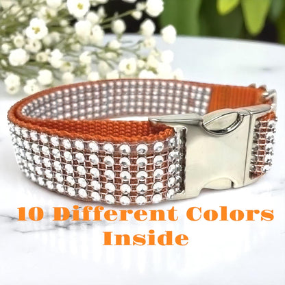 Rhinestone, Orange, Pumpkin Spice, Rhinestone, Dog Collar, Bling, Sparkle, Bedazzled, Girl Dog, Wedding Collar, Personalize, Engrave, Custom