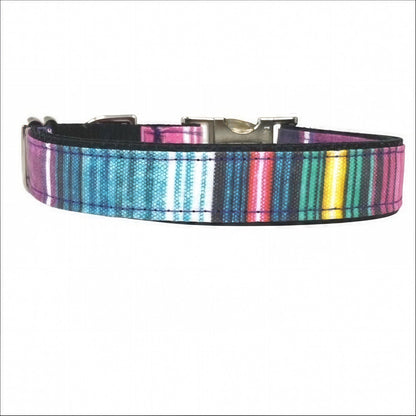 Multi-Color, Stripe, Custom, Dog Collar, Girl, Boy, Personalized, Engraved, Cute, Designer, Puppy, Cat, Pet, Small, Medium, Large, Fashion,