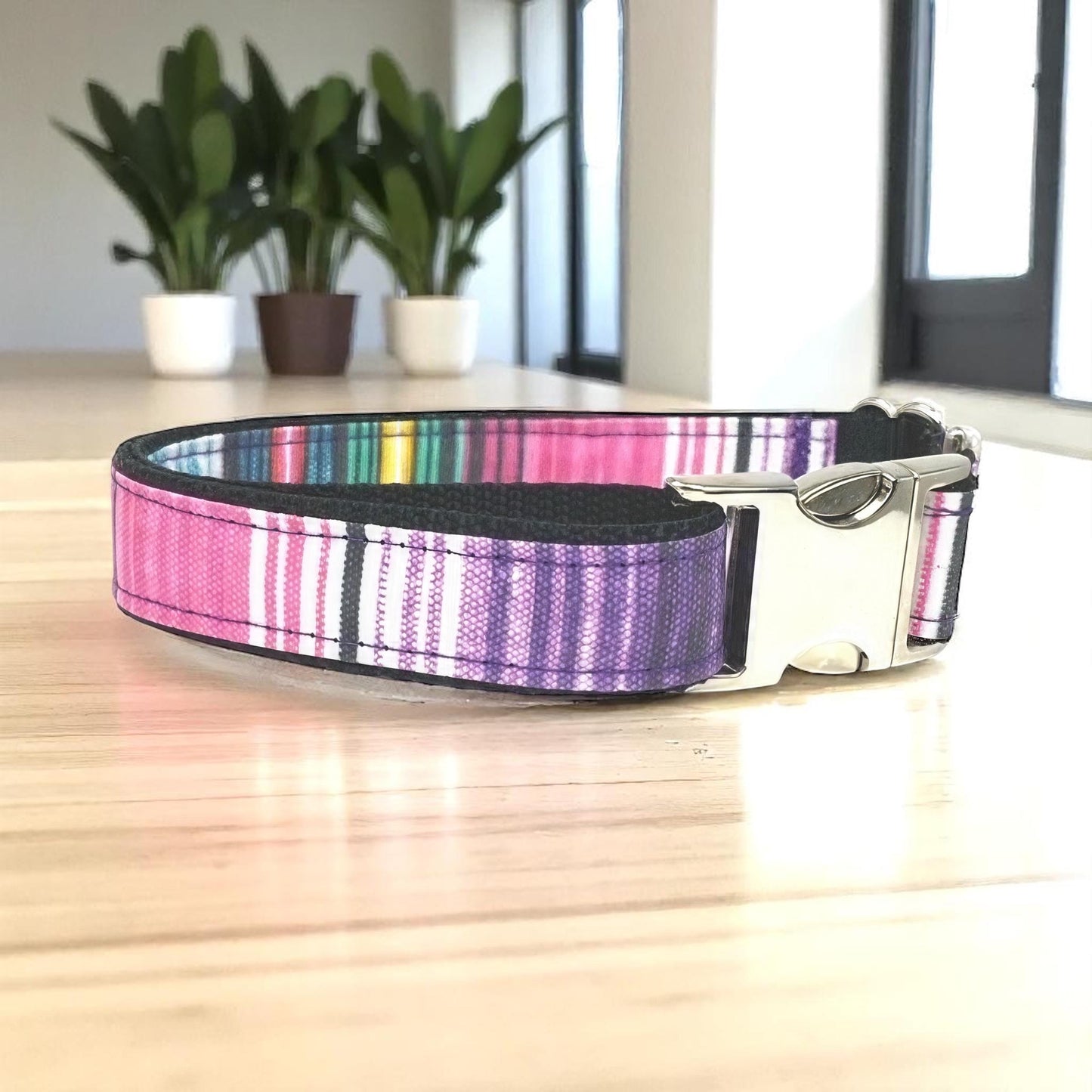 Multi-Color, Stripe, Custom, Dog Collar, Girl, Boy, Personalized, Engraved, Cute, Designer, Puppy, Cat, Pet, Small, Medium, Large, Fashion,