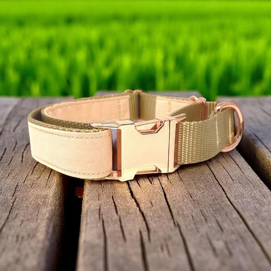 Peach, Custom, Buckle Martingale Dog Collar, Girl, Personalized, Engraved, Cute, Designer, Puppy, Greyhound, Whippet, Rose Gold, Pink