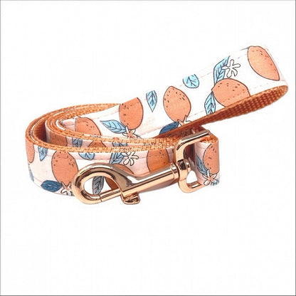 Peach, Lemon, Fruit, Custom, Dog Collar, Girl, Rose Gold, Personalize, Engrave, Cute, Designer, Puppy, Cat, Pet, Small, Medium, Large,