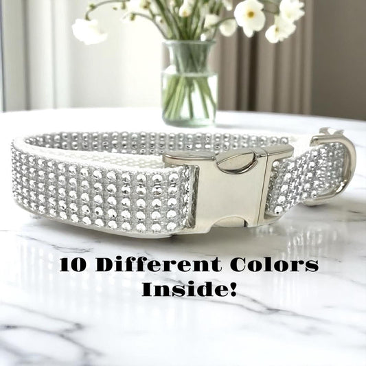 Rhinestone, Bling, Dog Collar, Wedding, White, Sparkle, Puppy, Personalize, Engrave, Custom Collar, Bling Dog Collar, Cute Dog Collar, Girl