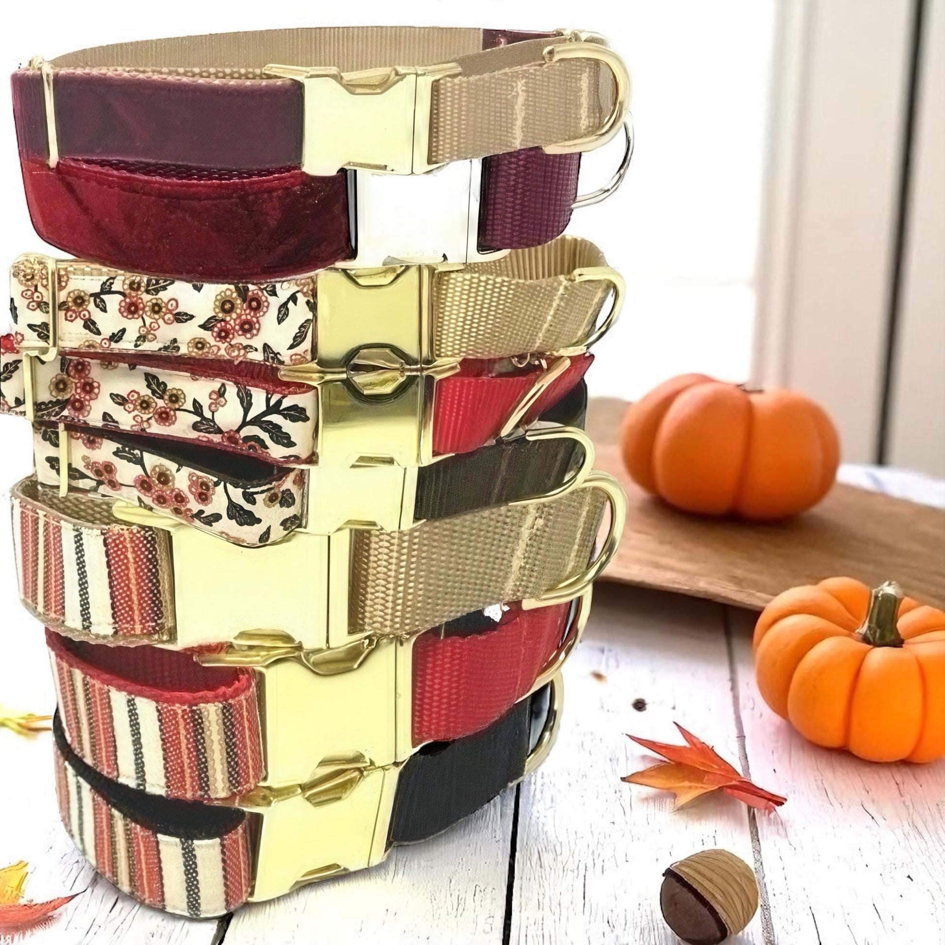 Personalized Option, Burgundy Fall Martingale Dog Collar With Buckle, Girl, Boy, Puppy, Greyhound Collar, Whippet, Custom, Engraved, Small