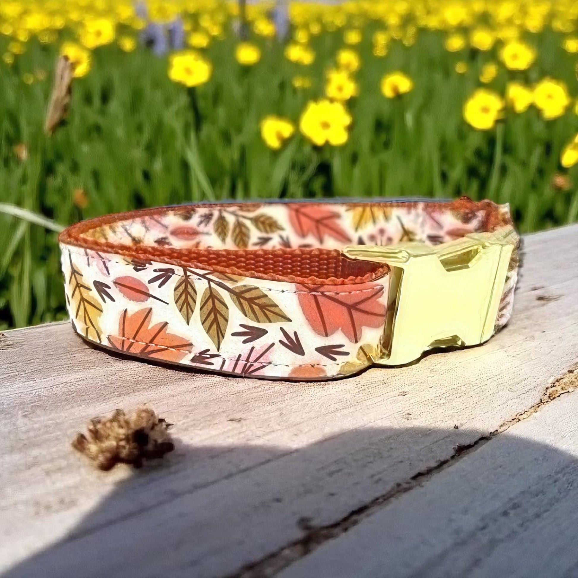 Personalized, Fall, Leaves, Dog Collar, Orange, Green, Gold, Girl, Boy, Engraved, Custom, Cute, Designer Dog Collar, Autumn, Thanksgiving