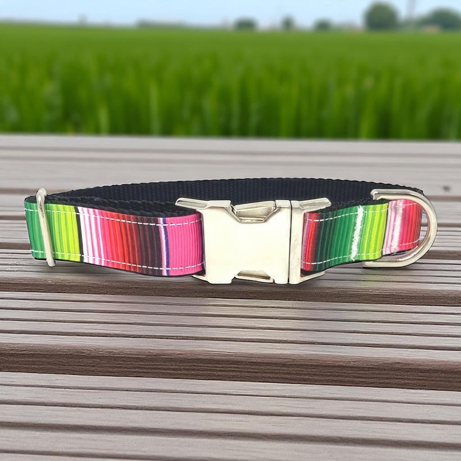 Pink Dog Collar, Green, Blue, Purple, For Girls, Serepe, Stripe, Personalized, Engraved, Pretty, Red, Small, Medium, Large, XL, Mexican