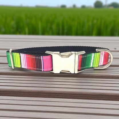 Pink Dog Collar, Green, Blue, Purple, For Girls, Serepe, Stripe, Personalized, Engraved, Pretty, Red, Small, Medium, Large, XL, Mexican