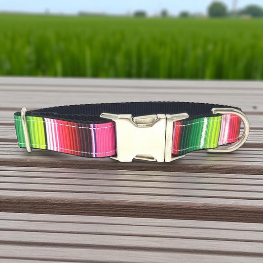 Pink Dog Collar, Green, Blue, Purple, For Girls, Serepe, Stripe, Personalized, Engraved, Pretty, Red, Small, Medium, Large, XL, Mexican