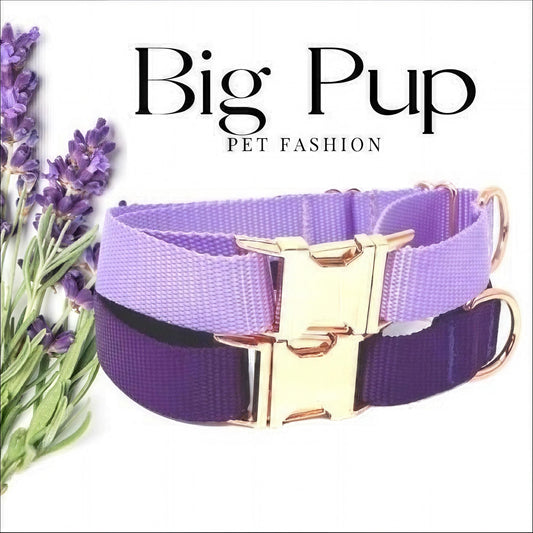 Purple, Lavender, Custom, Buckle Martingale Dog Collar, Girl, Personalized, Engraved, Cute, Designer, Puppy, Greyhound, Whippet, Rose Gold