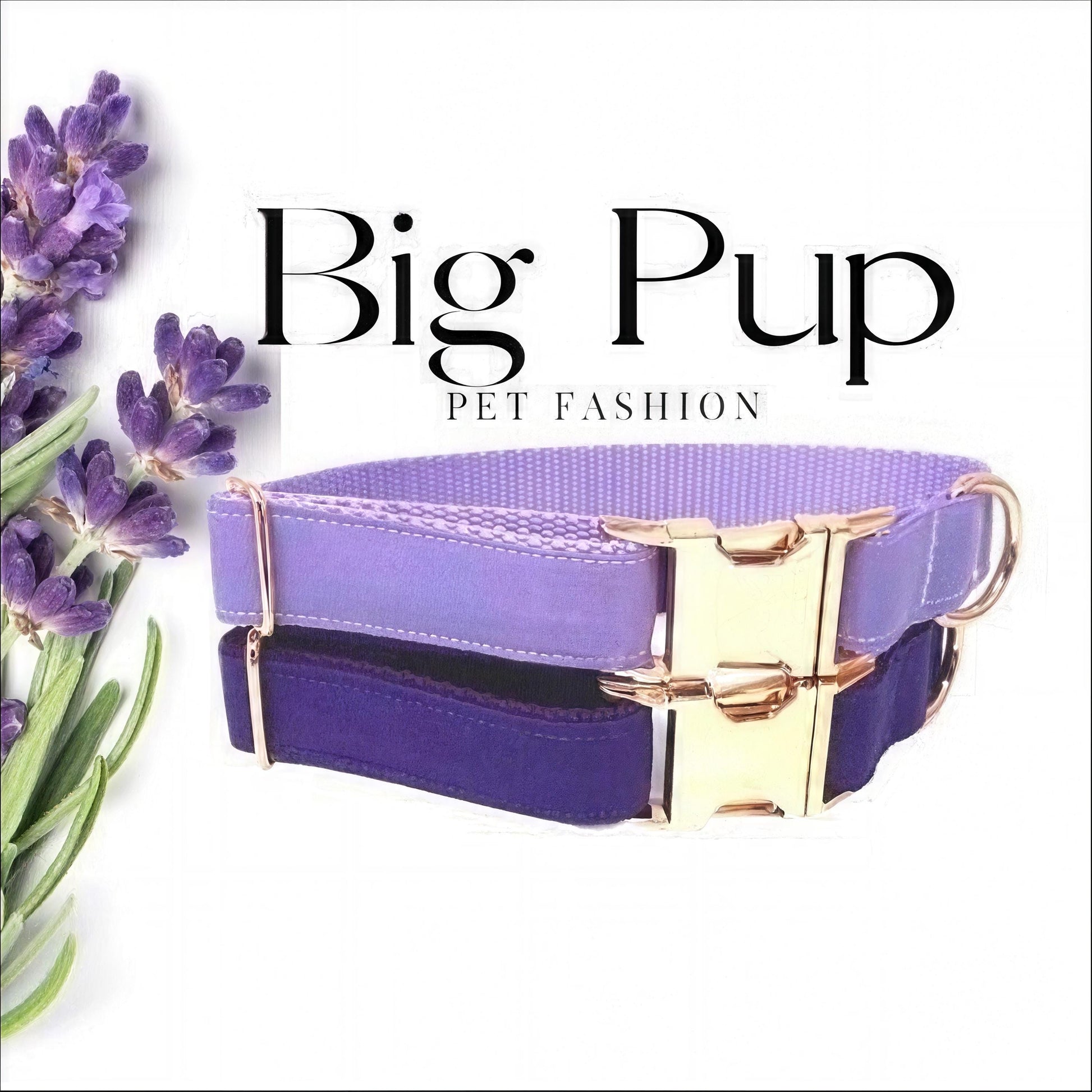 Purple, Lavender, Lilac, Custom, Dog Collar, Girl, Personalized, Engraved, Cute, Designer, Puppy, Cat, Pet, Small, Medium, Large, Fashion,