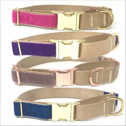 Pink Velvet, Custom, Buckle Martingale Dog Collar, Girl, Boy, Gold, Personalized, Engraved, Cute, Designer, Puppy, Greyhound, Whippet, fall