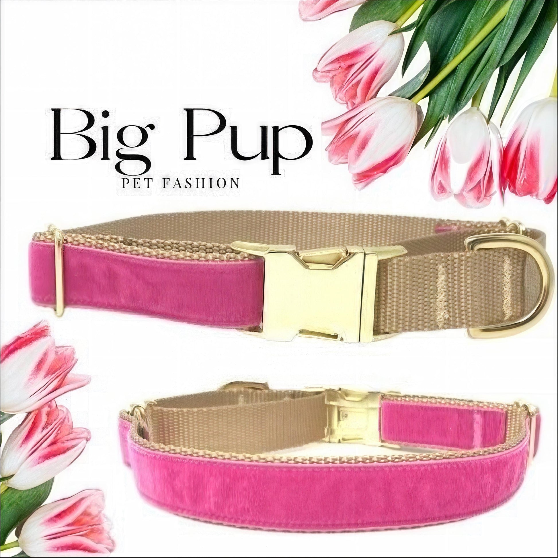 Pink Velvet, Custom, Buckle Martingale Dog Collar, Girl, Boy, Gold, Personalized, Engraved, Cute, Designer, Puppy, Greyhound, Whippet, fall