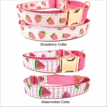 Pink, Personalized, Buckle Martingale Dog Collar, Girl, Custom Dog Collar, Designer, Puppy, Greyhound, Whippet, Fruit, Floral, Plaid, Velvet