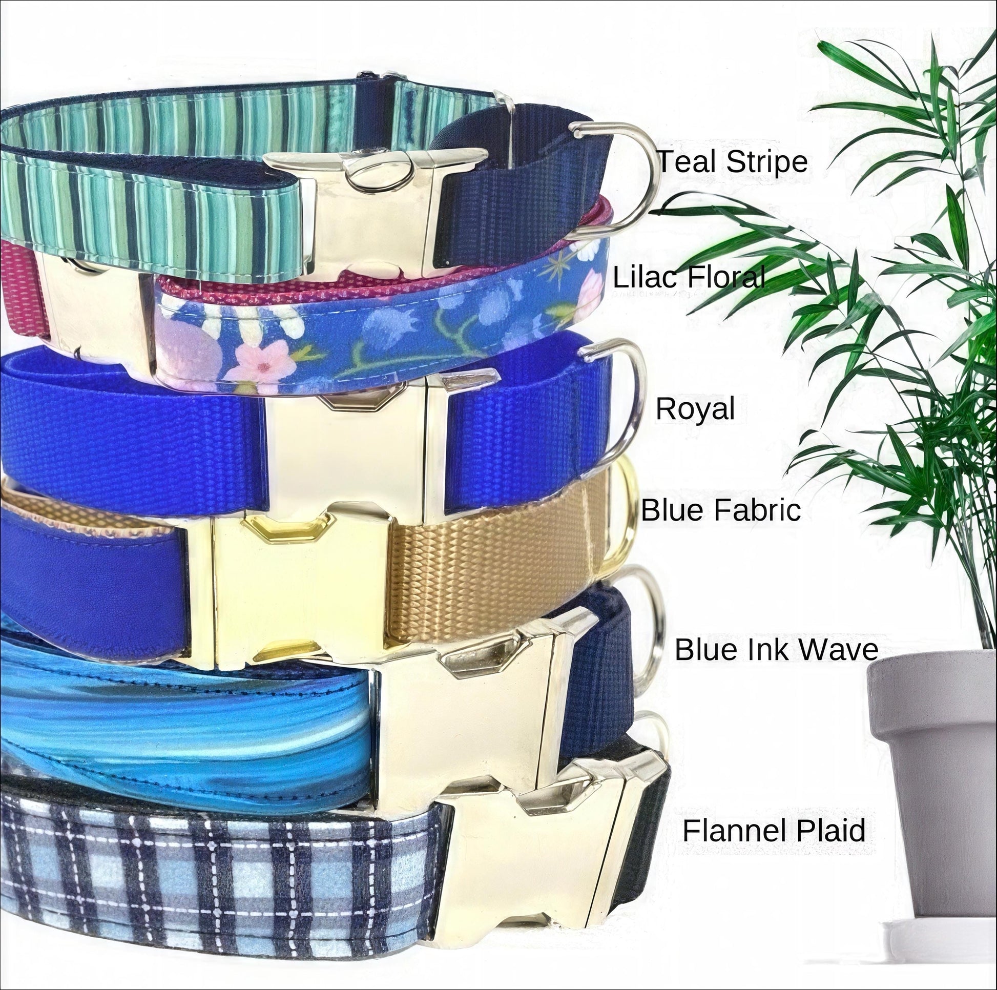 Blue Buckle Martingale Dog Collar, Girl, Boy, Cute, Designer, Puppy, Small, Large, Whippet, Greyhound, Custom, Personalized, Gold, Male, Pet