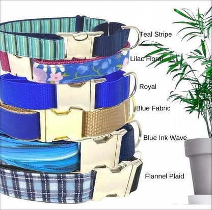 Blue Buckle Martingale Dog Collar, Girl, Boy, Cute, Designer, Puppy, Small, Large, Whippet, Greyhound, Custom, Personalized, Gold, Male, Pet