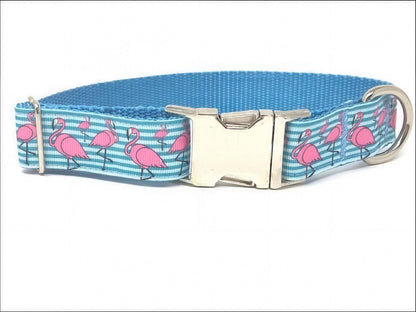 Cute, Blue, White, Pink Flamingo, Stripe, Dog Collar For Girls / Boys, Personalized, Trendy, striped, male, female